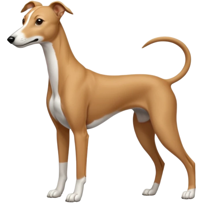 Greyhound emoji