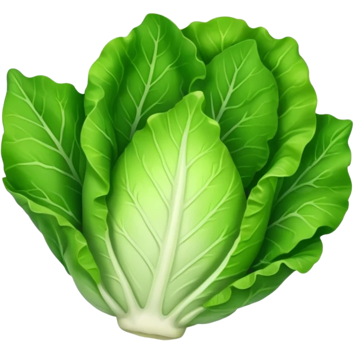 lettuce single  leaf  emoji