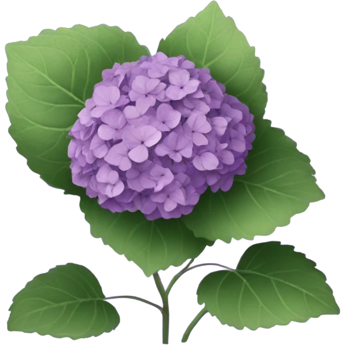 Purple hydrangea  emoji