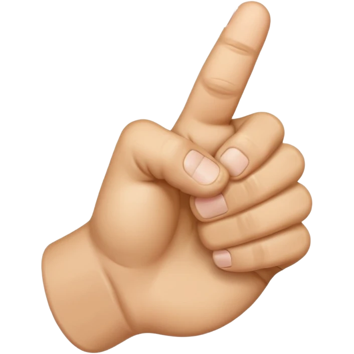🖕+👊 emoji