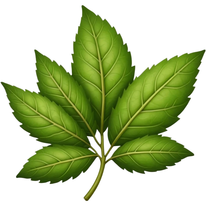 yerba mate leaf emoji