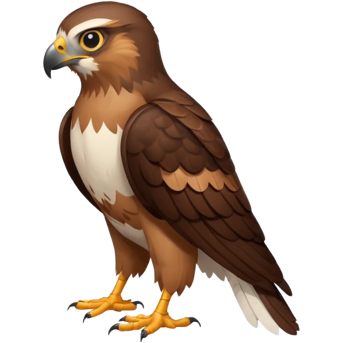 Create a single emoji of a Hawk in full body, shown at a slight side angle in a natural, characteristic pose. Cute and stylized like an emoji, but clearly recognizable.
 emoji