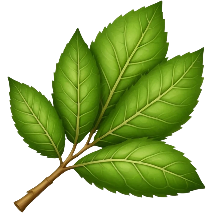 yerba mate leaf emoji