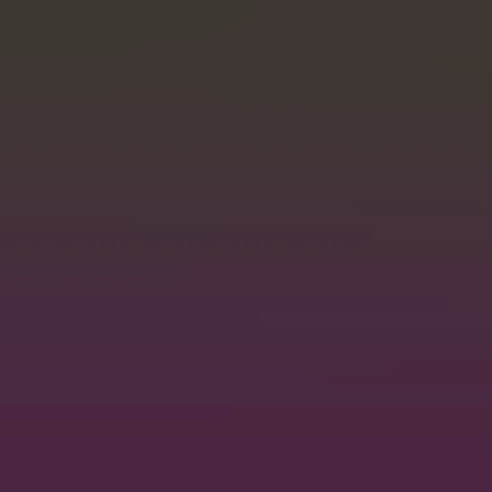 All black terrier dog with purple and pink collar with heart that says ...