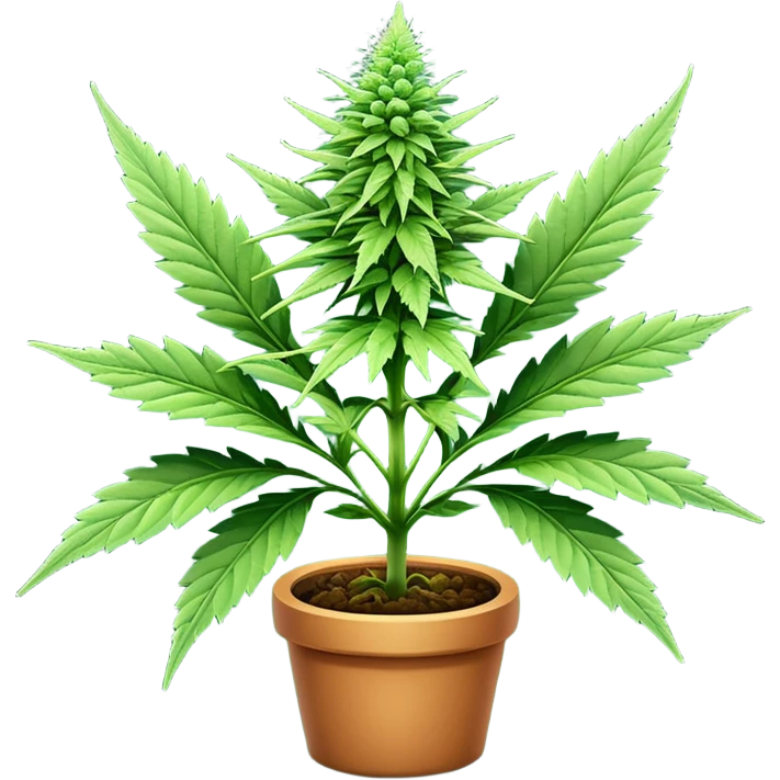 weed emoji