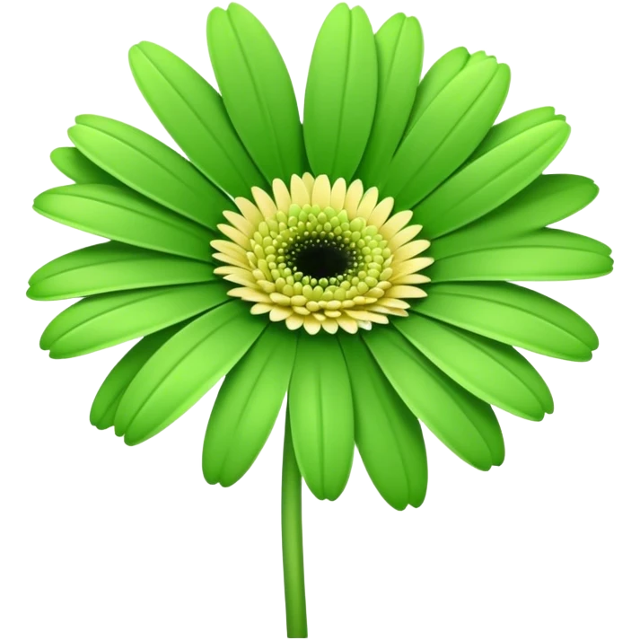 single Soft Green Gerbera Daisy, straight stem emoji