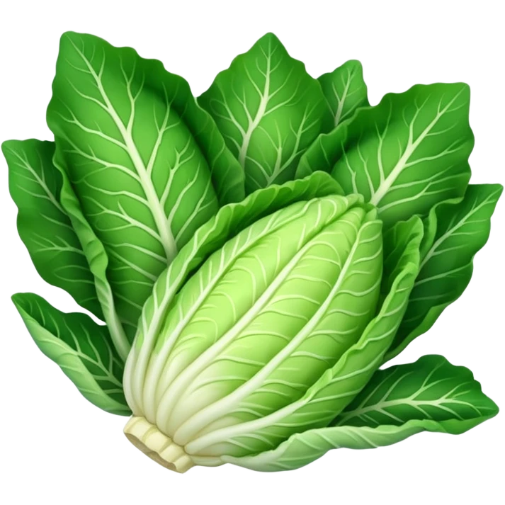 chinese cabbage emoji