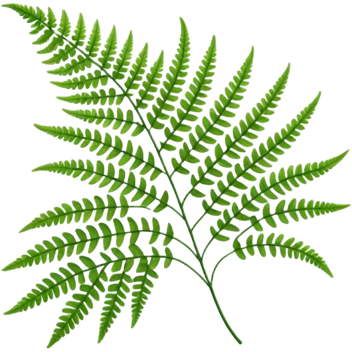 Fern emoji