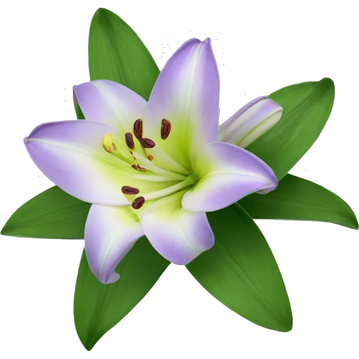 mapira lily emoji