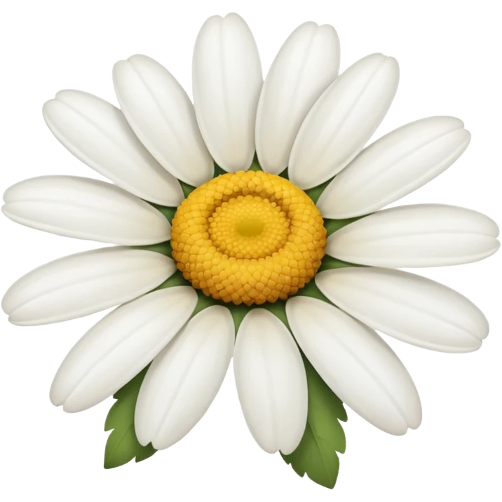 🌼🤍 emoji