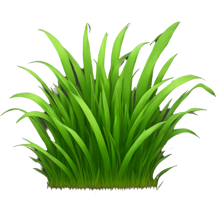 a patch of grass emoji