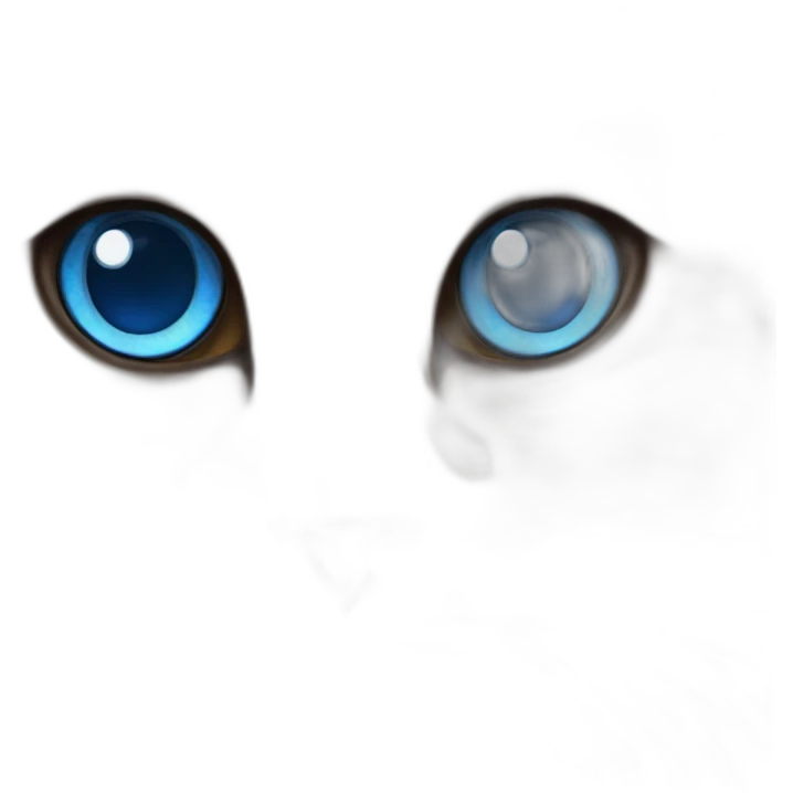 ragdoll cat with blue eyes emoji