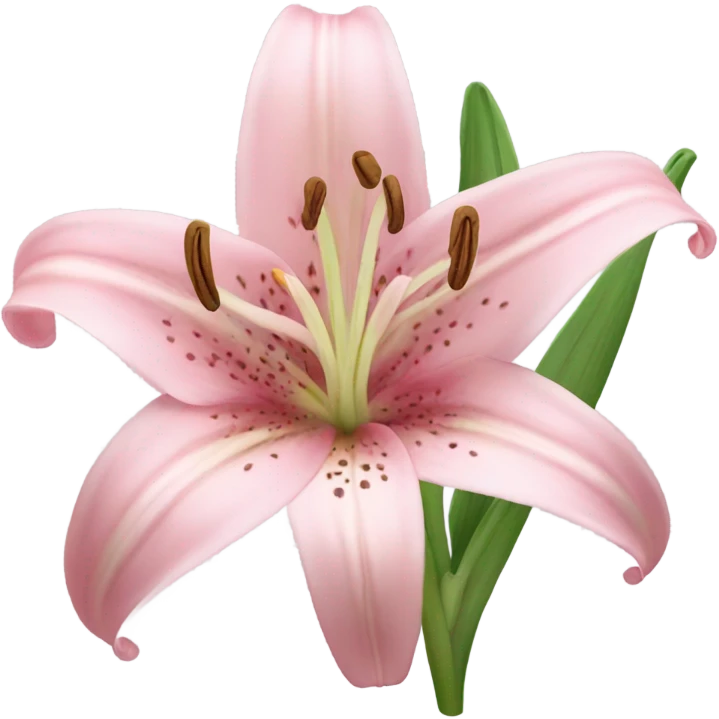 light pink lilium emoji