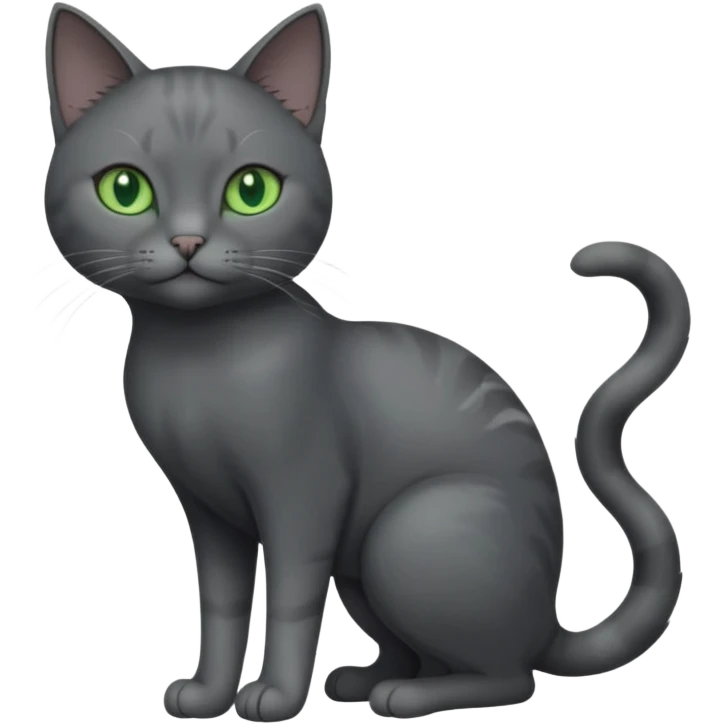full body view of beautiful female solid dark grey cat with green eyes, grey face, white toes/paws and white patch on her chest emoji
