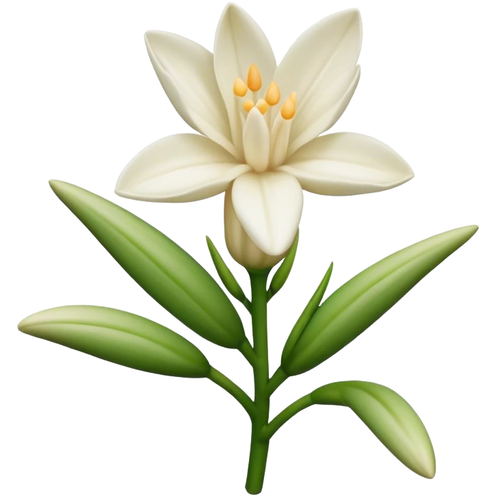 Tuberose emoji