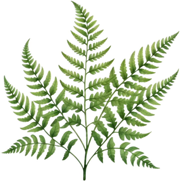 A close-up of a fern plant with intricate leaves, painted in soft watercolor greens with a subtle textured background.
 emoji