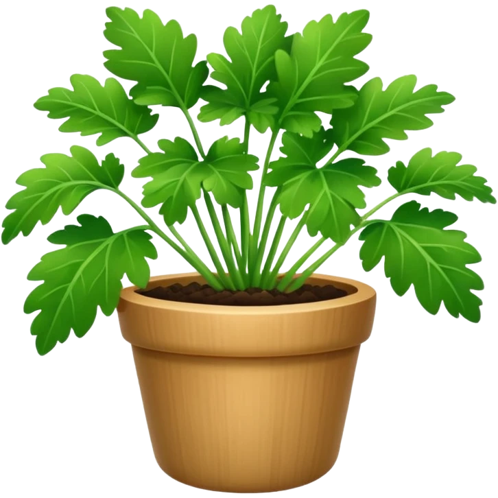 cilantro emoji