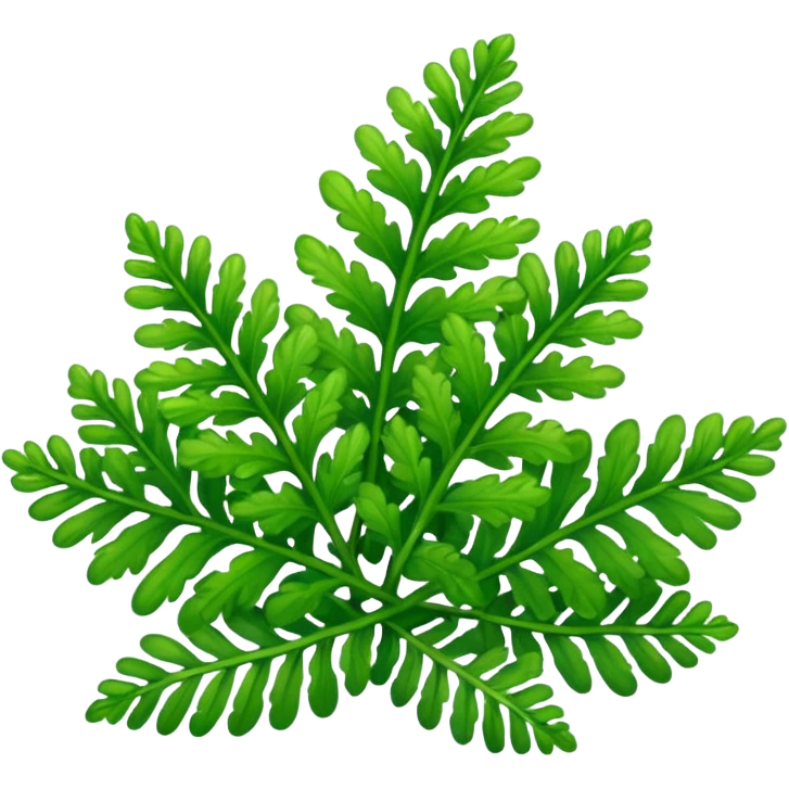 Selaginella emoji