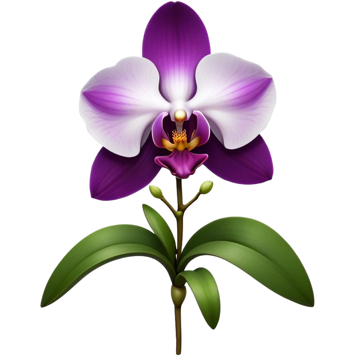 Cinematic Realistic Orchid Emoji, Exotic and elegant, with intricate, velvety petals in deep purple and white, forming a delicate and symmetrical blossom. The slender green stem holds the flower high, while surrounding leaves add lush contrast. Soft glowing outline, capturing the essence of rare beauty and sophistication in a captivating orchid. emoji