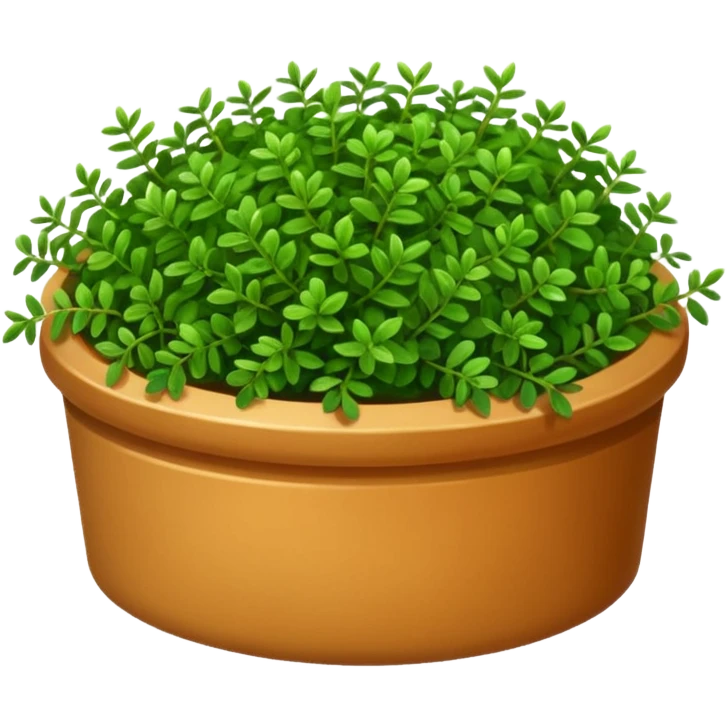 TÇimen emoji