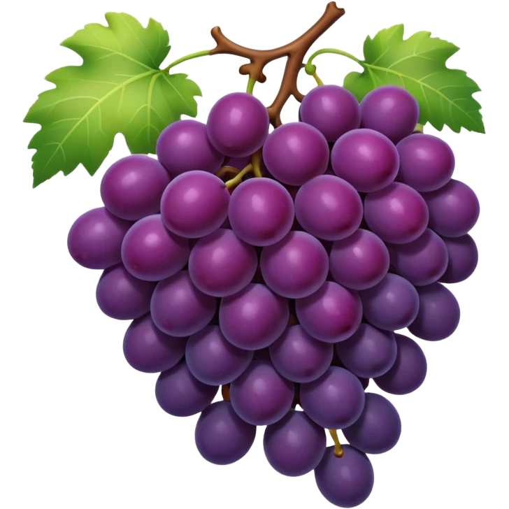 dark grapes emoji