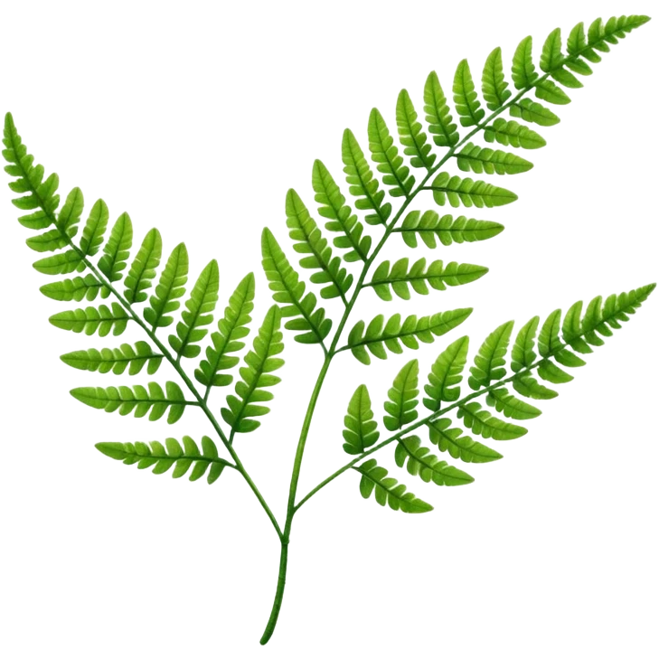 Fern leave emoji