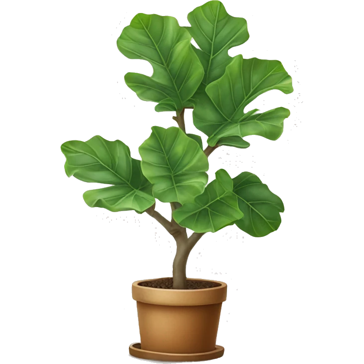 fiddle leaf fig tree emoji