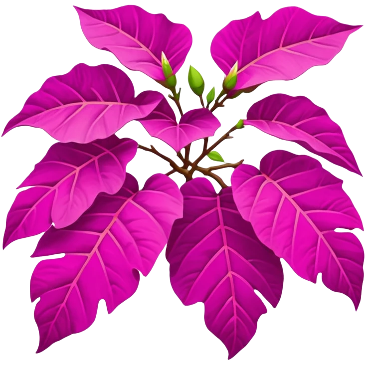Begonvile emoji