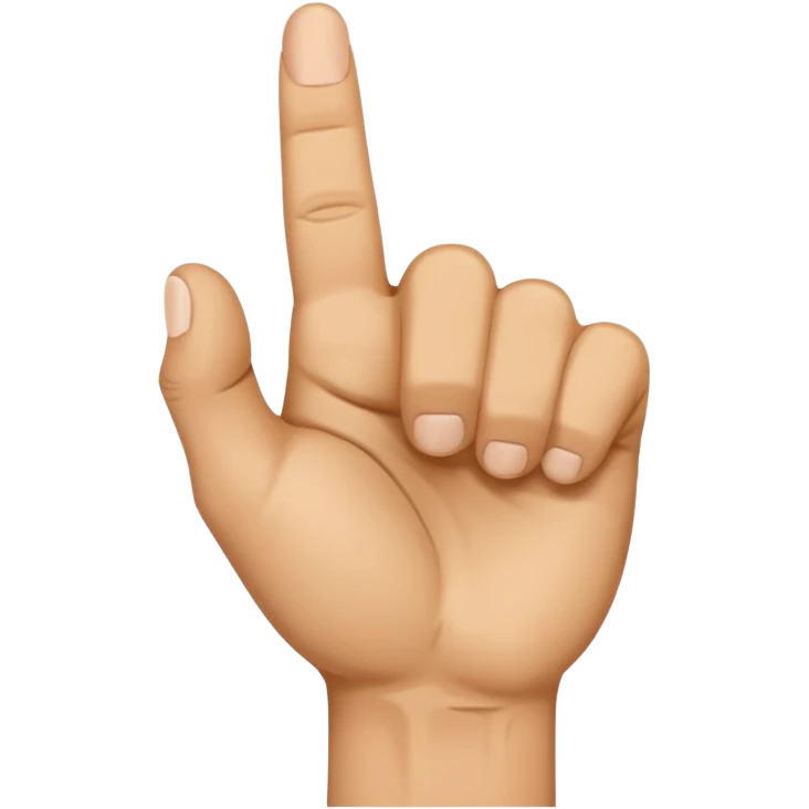 👊 +🖕 emoji