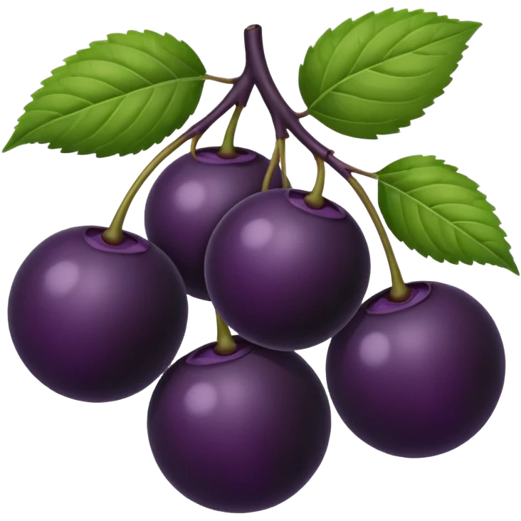Black elderberry  emoji