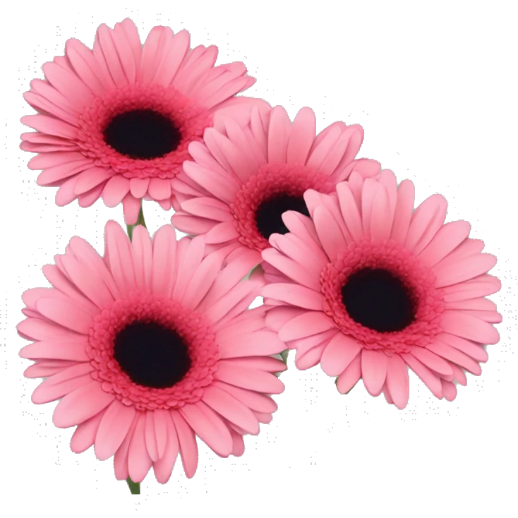 3 gerberas emoji