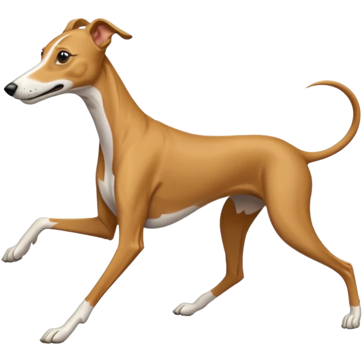 galgo corriendo emoji