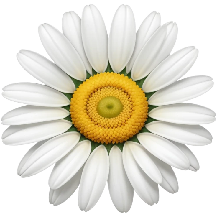 White daisy emoji