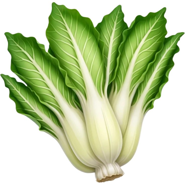 green blegian endive radicchio smooth emoji