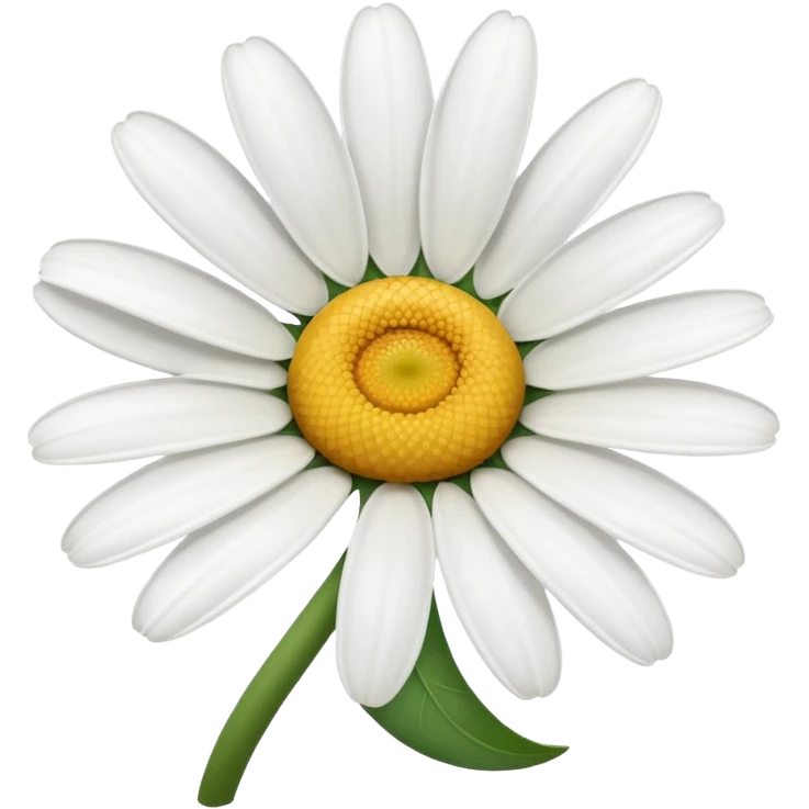 🌼🤍 emoji