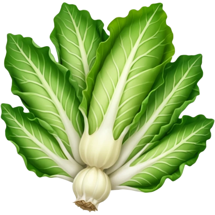green blegian endive radicchio emoji