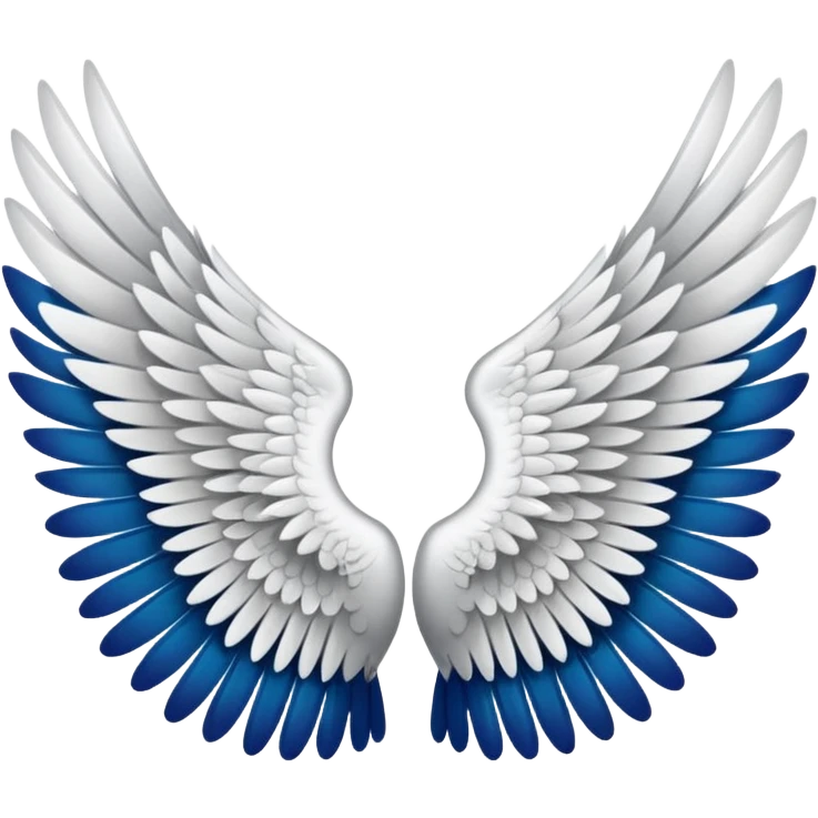 Left and right side wings emoji