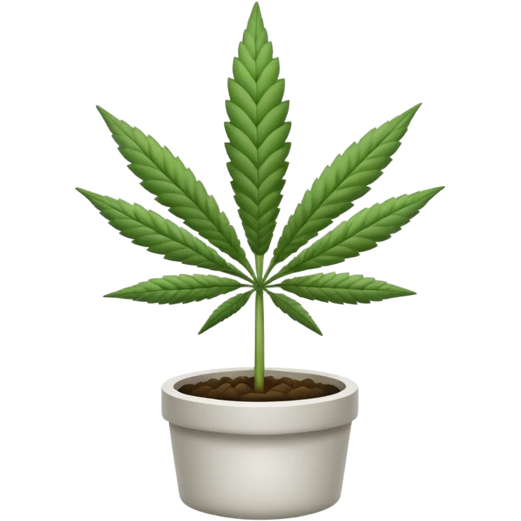 white color marijuana, no color emoji