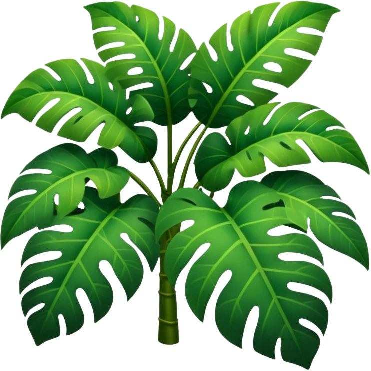 Rainforest emoji