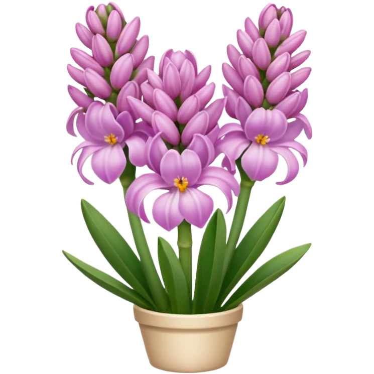 a light margenta  Hyacinth emoji