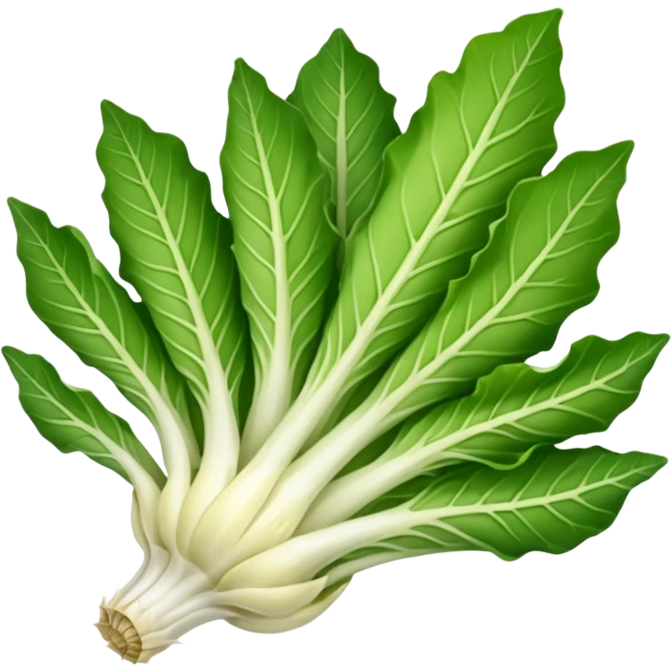 green blegian endive radicchio emoji