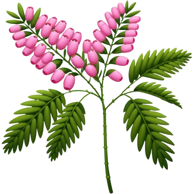 Pink Mimosa with flower  emoji