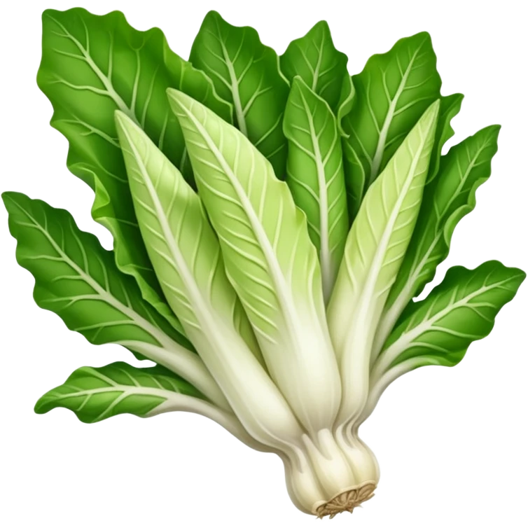 green blegian endive radicchio smooth emoji