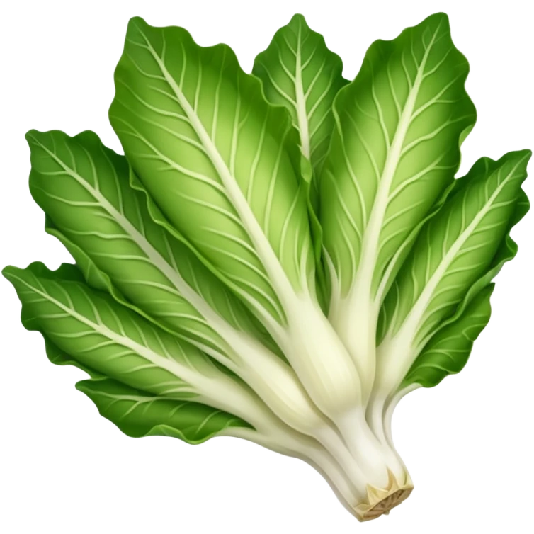 green blegian endive radicchio smooth emoji
