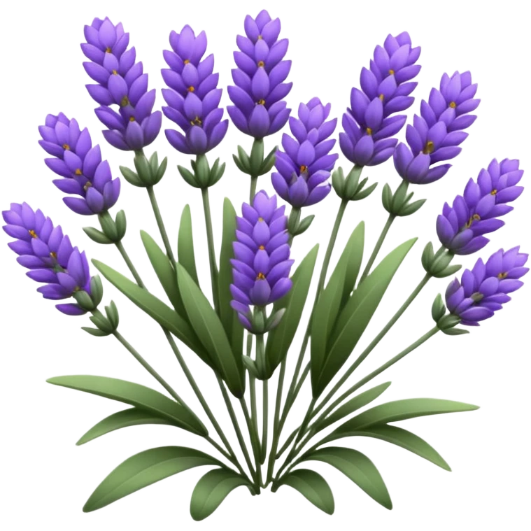 Lavender  emoji