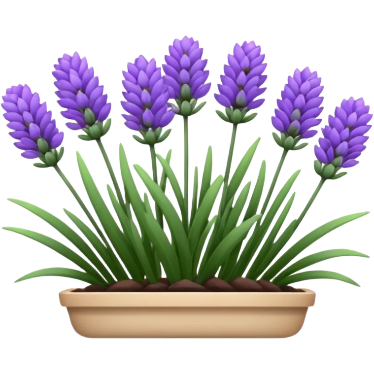 Lavanda emoji