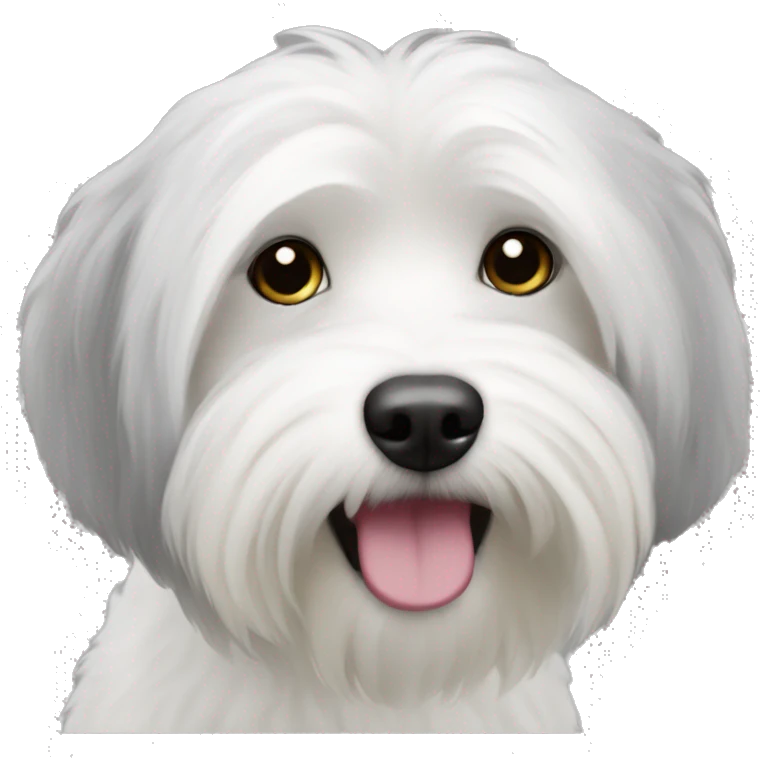 black coton de tulear emoji