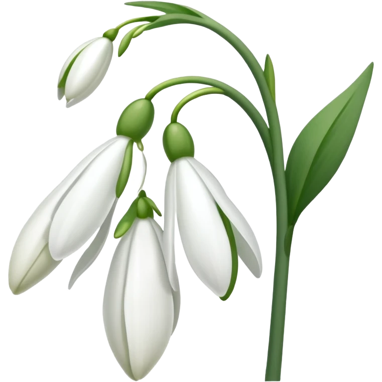 snowdrop flower emoji