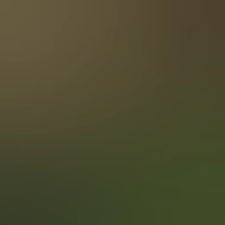 wolf dressed as a druid, flower crown, green cape, full body icon emoji ...