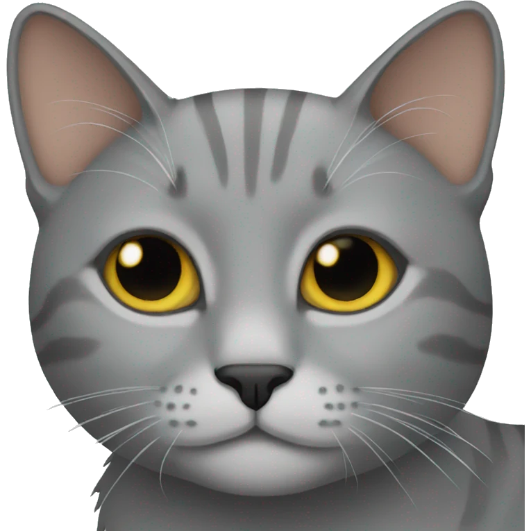 grey cat emoji